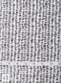 Finger Painting from Nest collection by Art Gallery Fabrics - AGF CAP-N-6005